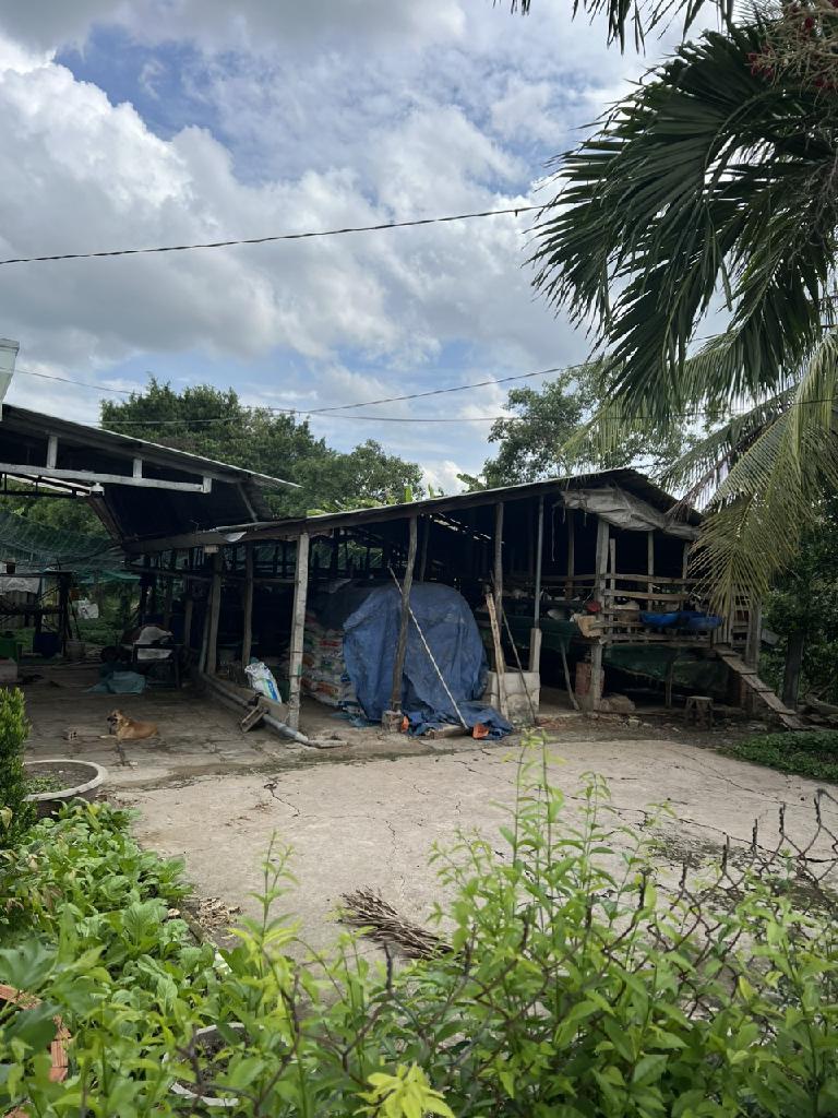 ALONHADAT