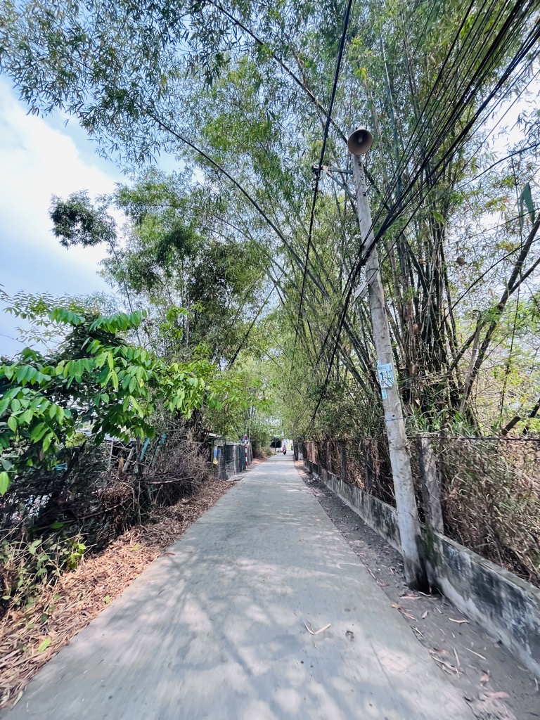 ALONHADAT