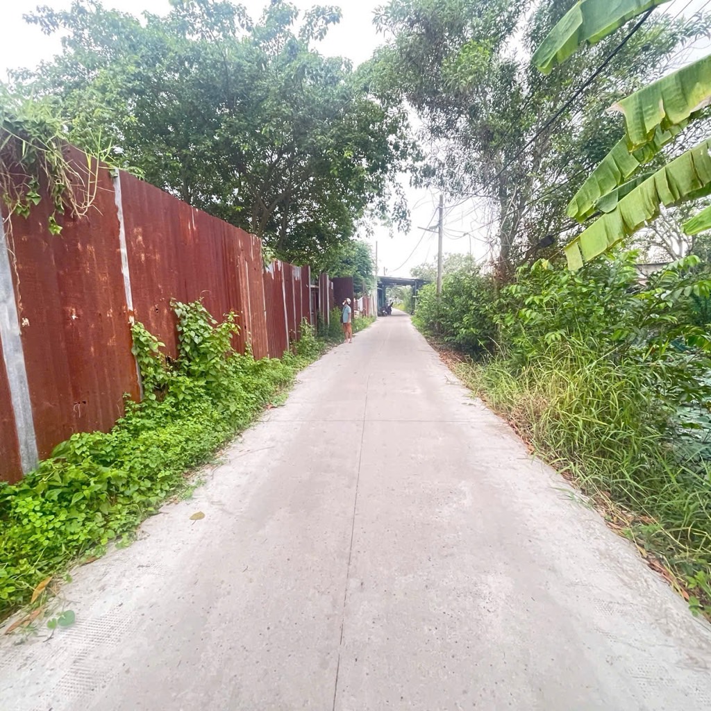 ALONHADAT