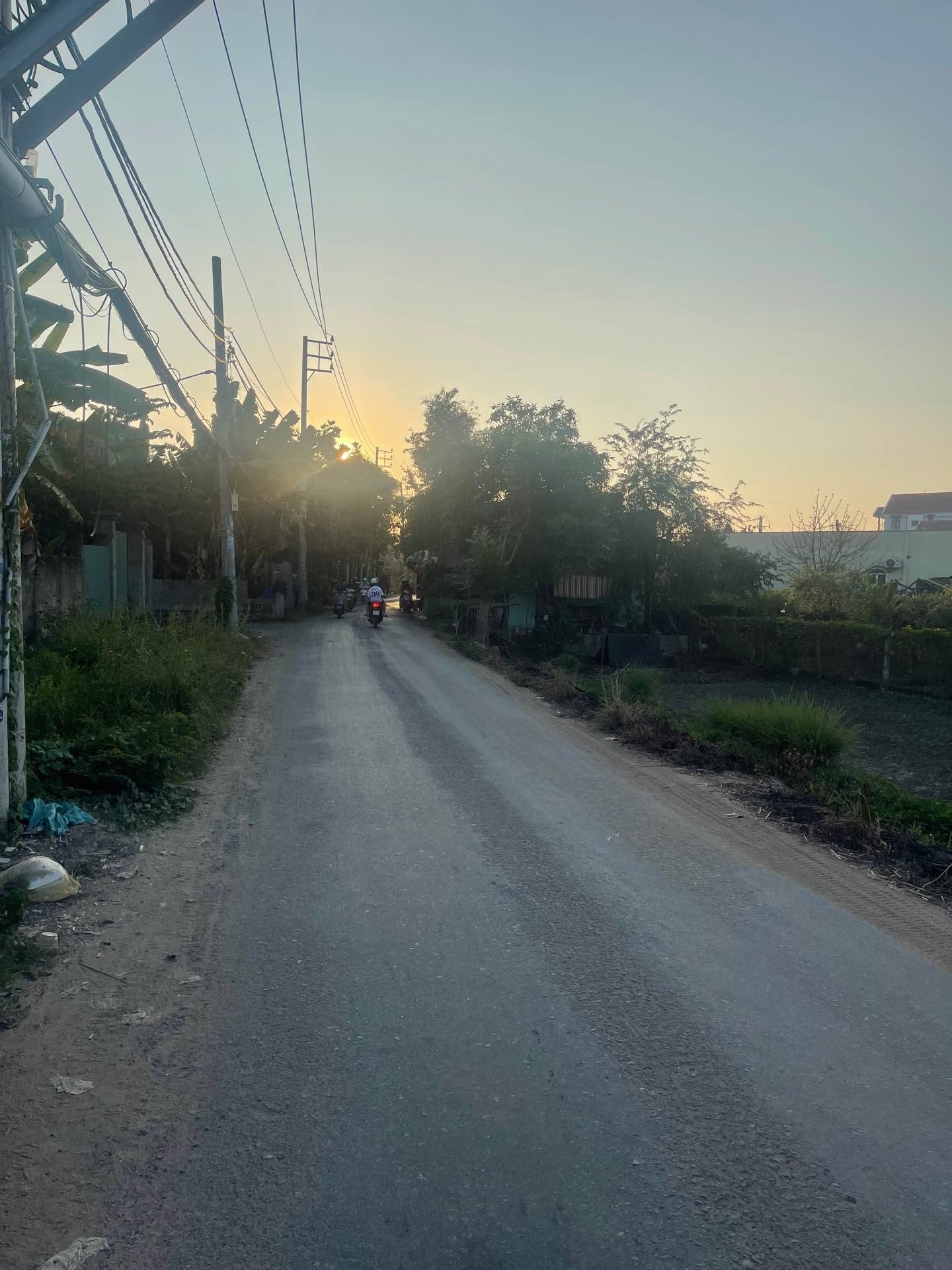 ALONHADAT