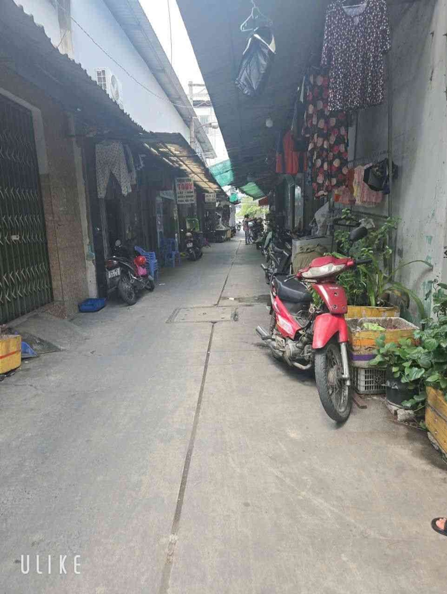 ALONHADAT