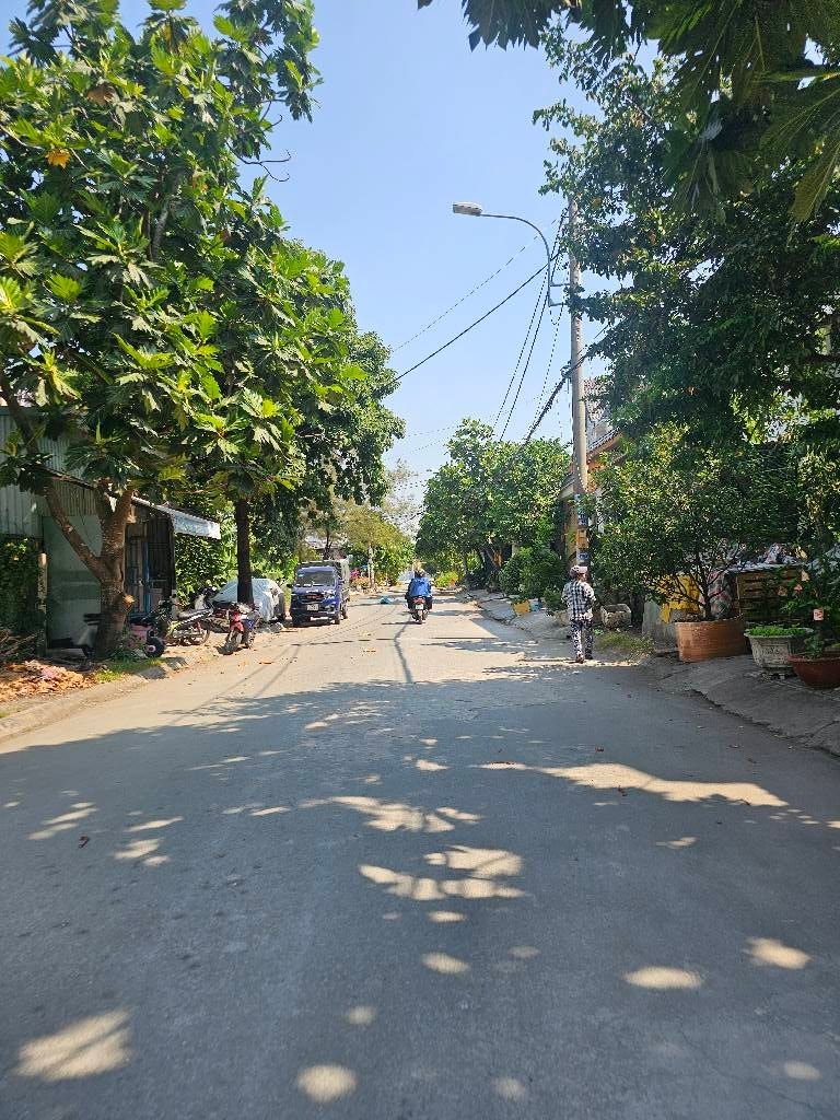 ALONHADAT