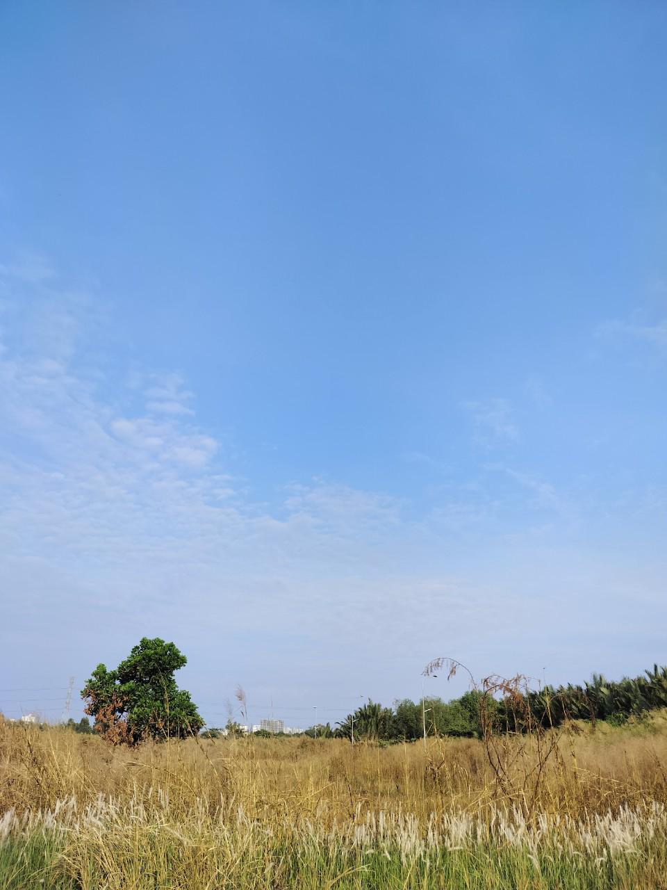 ALONHADAT