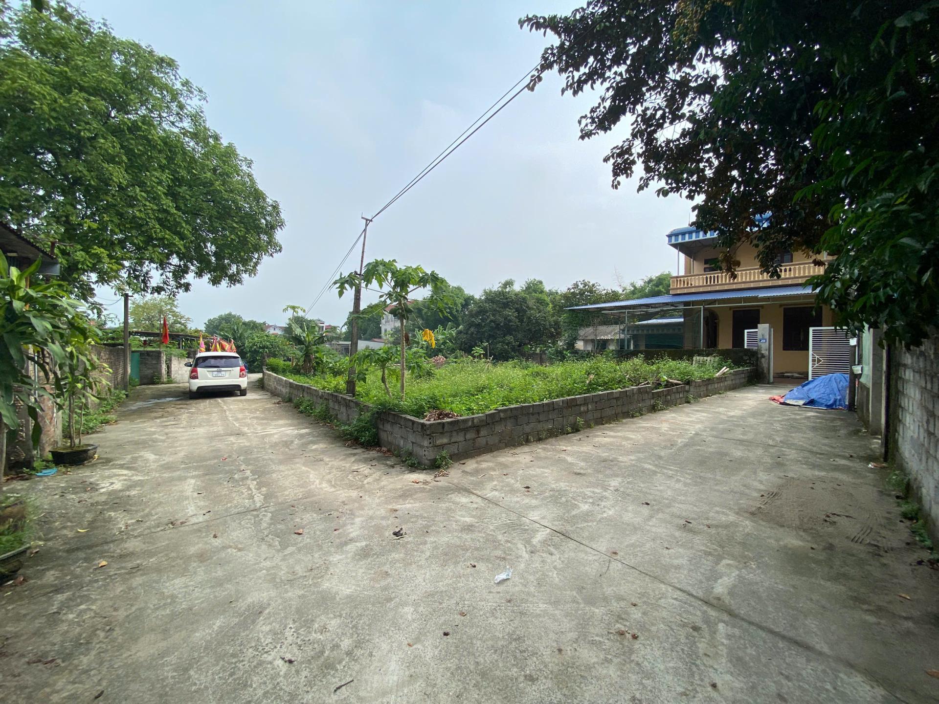 ALONHADAT